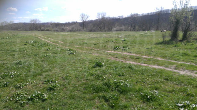 Empty undeveloped land in Makresh village, 35 km to Vidin Empty undeveloped land in Makresh village, 35 km to Vidin