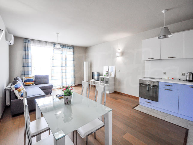 Sunny and spacious one-bedroom apartment with high class furniture Sunny and spacious one-bedroom apartment with high class furniture