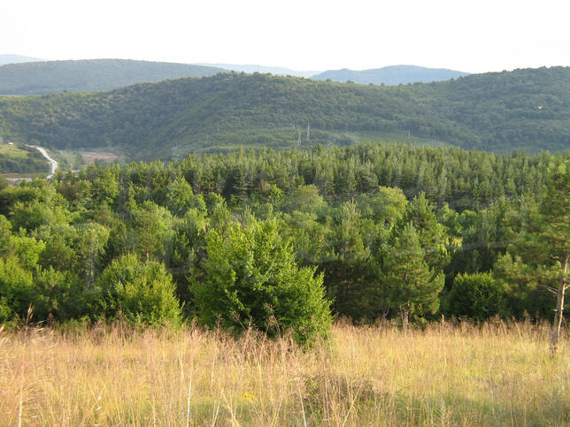 For sale - development land For sale - development land