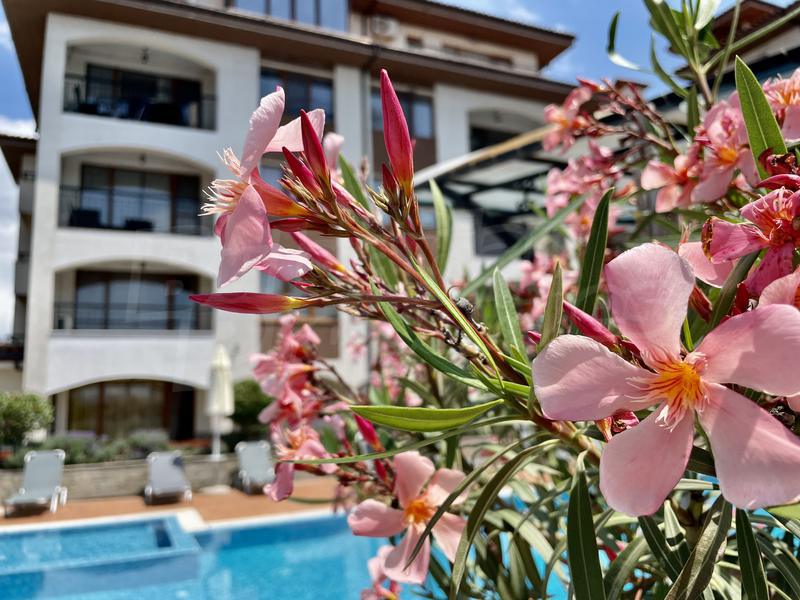 Partially furnished apartment in the complex Sea Club Sarafovo Partially furnished apartment in the complex Sea Club Sarafovo