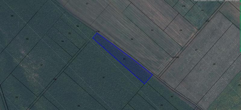 Land for investment near the capital Land for investment near the capital