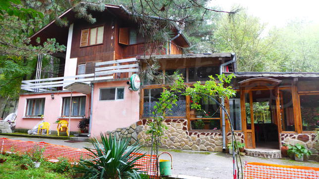 Big house among pine forest Big house among pine forest
