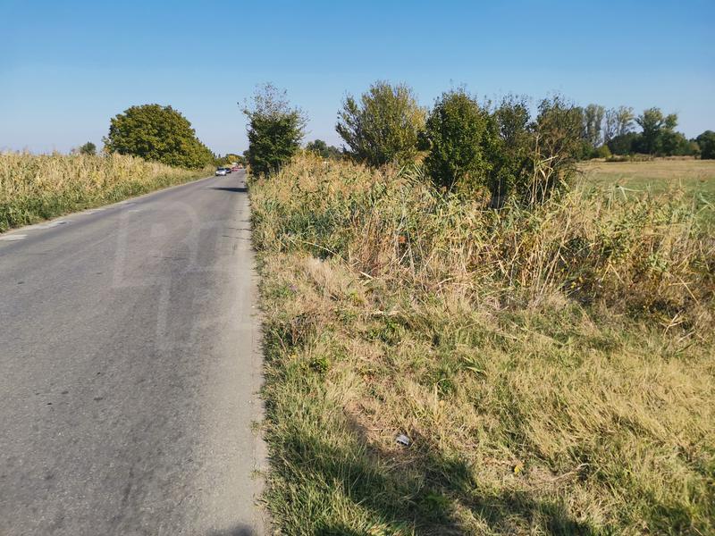 Plot of land suitable for construction of a warehouse near the Ring Road of Plovdiv Plot of land suitable for construction of a warehouse near the Ring Road of Plovdiv