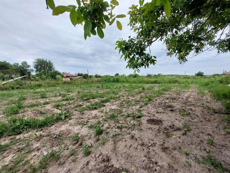 Flat terrain for farming or building a house 6 km from Elhovo Flat terrain for farming or building a house 6 km from Elhovo