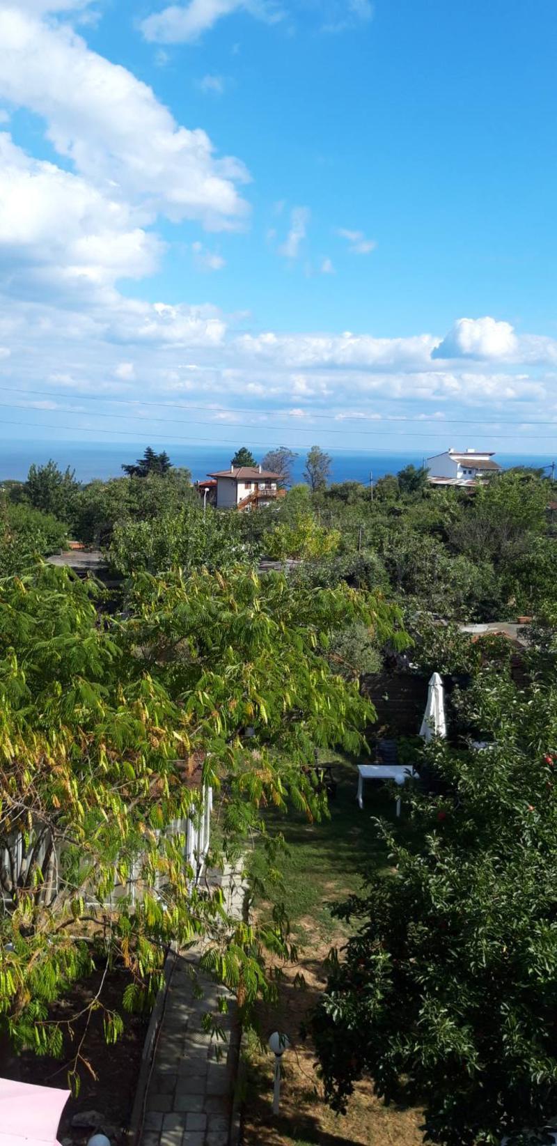 South-facing house, summer kitchen and large garden not far from the sea South-facing house, summer kitchen and large garden not far from the sea
