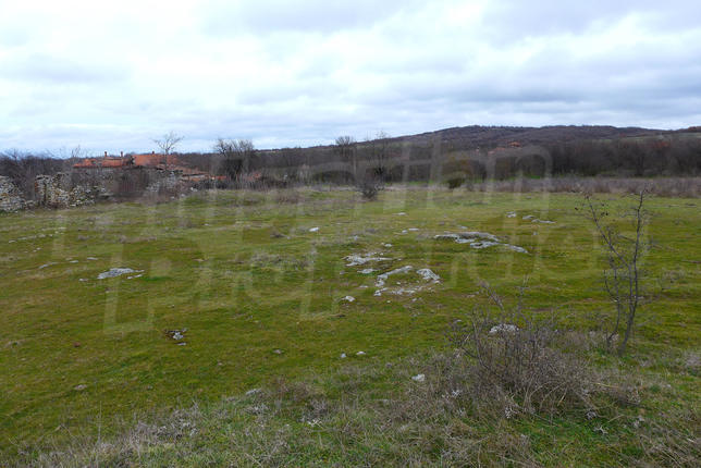 Large land next to asphalt road in region with fresh air Large land next to asphalt road in region with fresh air