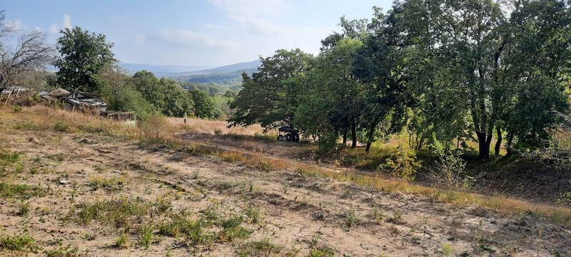 Neighboring terraced plots in fresh air with forest view Neighboring terraced plots in fresh air with forest view