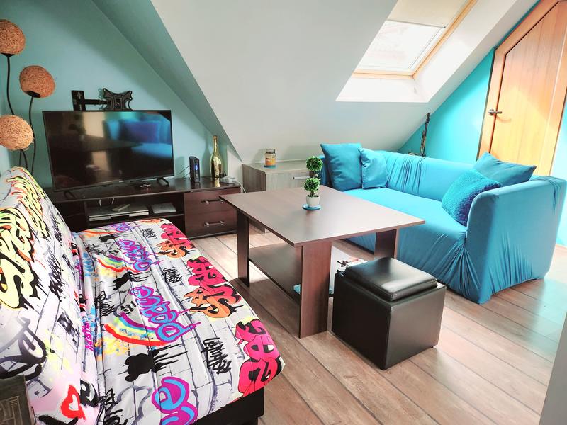 Comfortably furnished apartment near the Cathedral Comfortably furnished apartment near the Cathedral