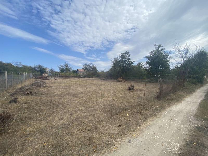 Cleared plot in Perchemliata area Cleared plot in Perchemliata area
