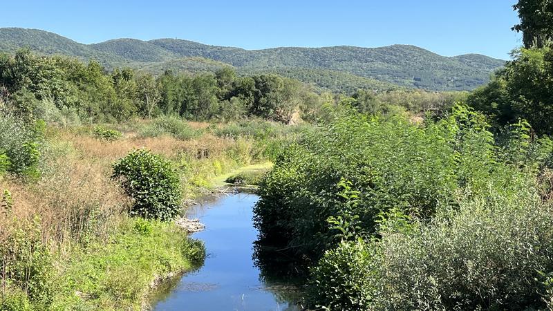 Парцел в тихо и спокойно село в полите на Средна гора, между Пловдив и Стара Загора Парцел в тихо и спокойно село в полите на Средна гора, между Пловдив и Стара Загора