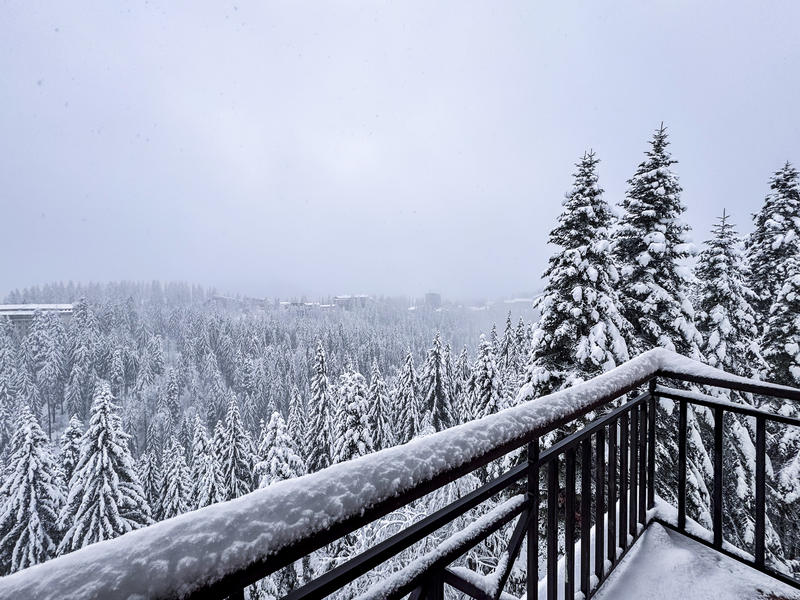 Comfortable mountain homes in brand new complex with Act 16 in Pamporovo