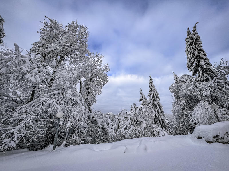 Comfortable mountain homes in brand new complex with Act 16 in Pamporovo