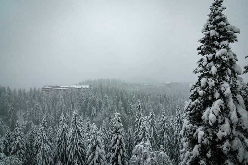 Comfortable mountain homes in brand new complex with Act 16 in Pamporovo