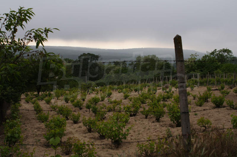 Excellent property 7 km from the center of Varna Excellent property 7 km from the center of Varna