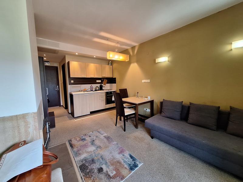 Furnished studio with air conditioning, fireplace and panorama in residential building