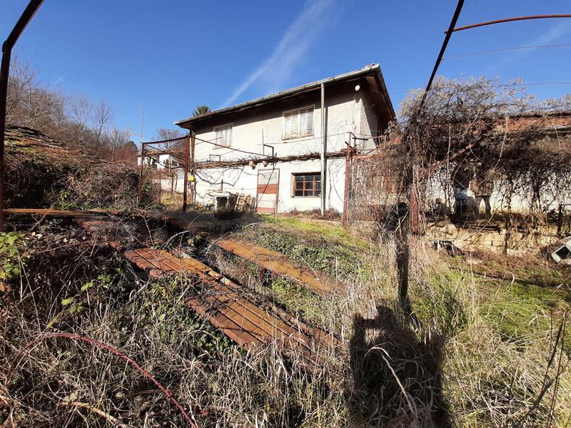 ������� �����, �������