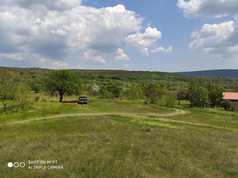 ����� ������ � ��������� �� ������� ������������