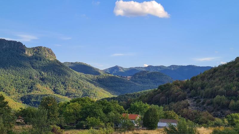 ������� � ����������� ������ � ���������� ����, � 35 �� �� ��������