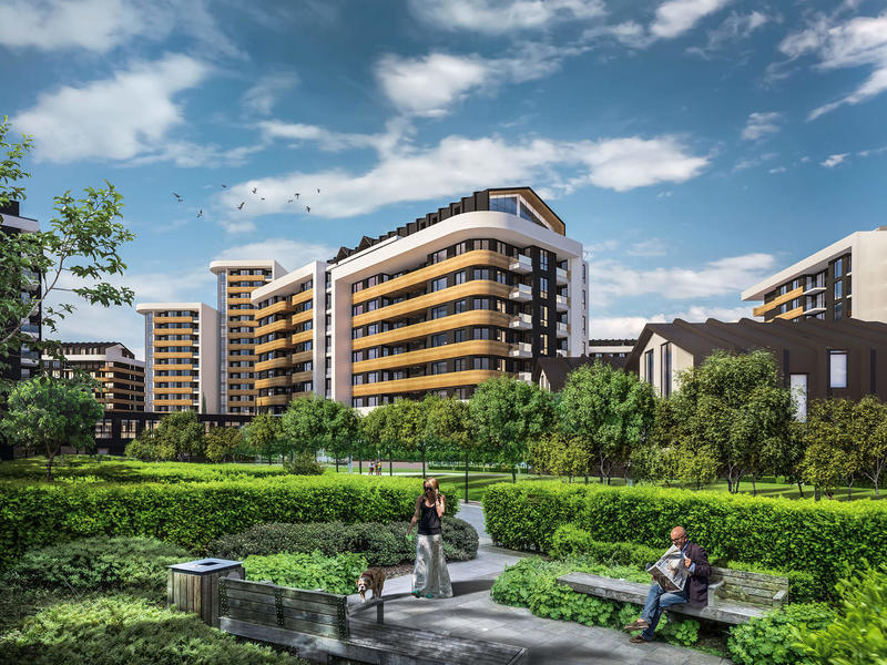 ����������� ��� � ��������� � ���������� � ���������� ������� �� ����