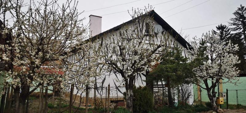 ��������� ���� �������� ����� �� ���� �� ����� ���� � �� ����������� ��� 