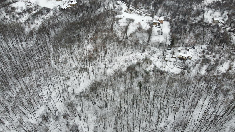 ������������ ���������� ����������� ����� ������� � �������� ����������� � ��������