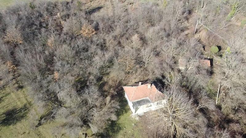 23 ��� ���������� ���� � ���� � ���������