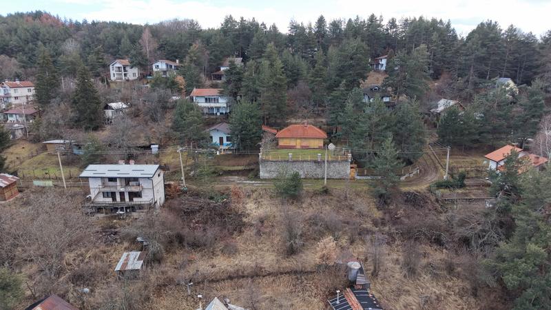 ������ ���������� � ���� �� ���-�������������� ����� ���� ���� ������ �����