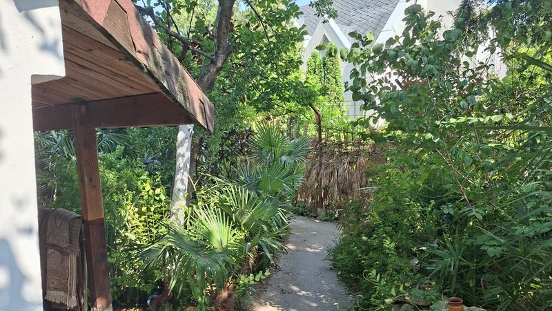 ����� ������ ���� � ����������� �� ����������� �� 1 �� �� �����