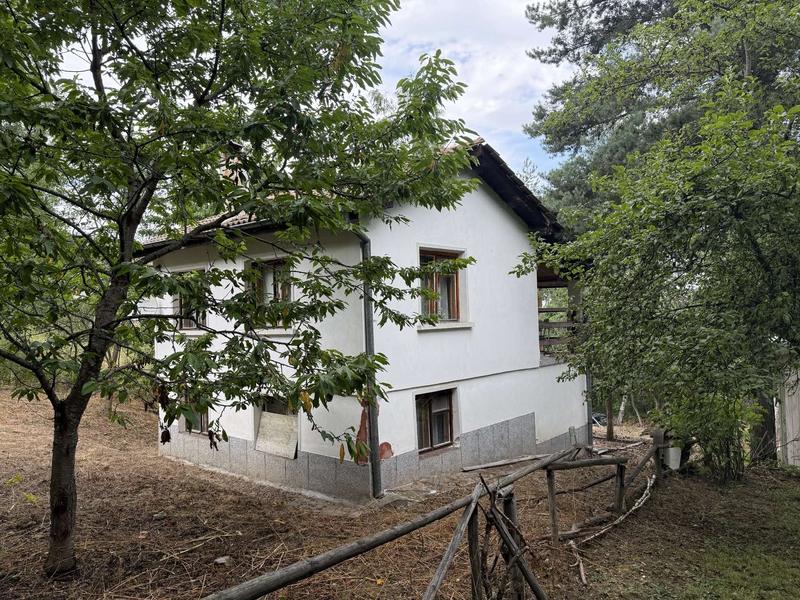 �������� ������������� ��� � ����������� ��������, ���������� ������� � ������ ��������