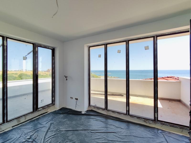 ����������� ����������� �� ������ ���� � ���������� � ������-�����������