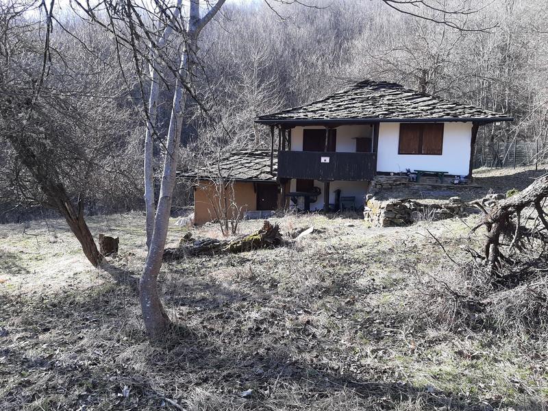 ������ ��� � ������� ��������� �������� �� �������