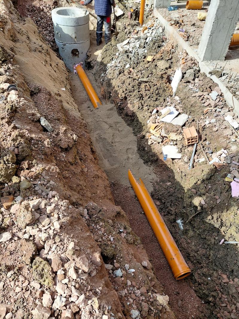 ���������� ��������� ����� ����� � Lidl, Jumbo � ��������� ������������ ����