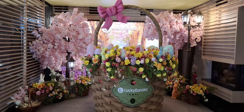 Comfort, SPA facilities and prime location in a year-round aparthotel