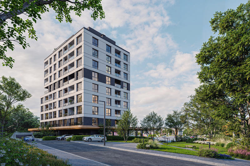 ����������� �����������, �������� ������������ � ������ ������� ������