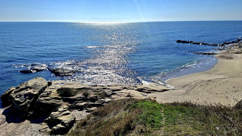 ������� �����������, ����������� �� ������ �� ������