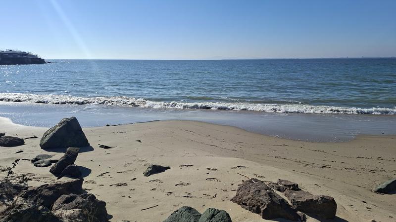 ����������� ����������� ���� ����� � ��������� � ����������, ������� ������ � �������� �������������� �����������