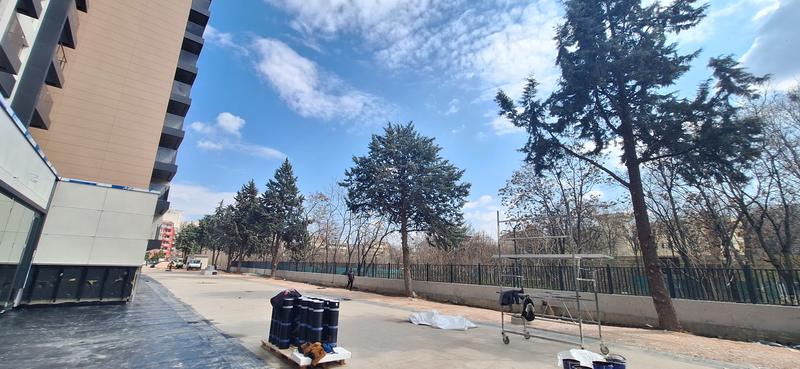 ����� ���� ������������ �� �������� ����� ��������� � ��. ��������