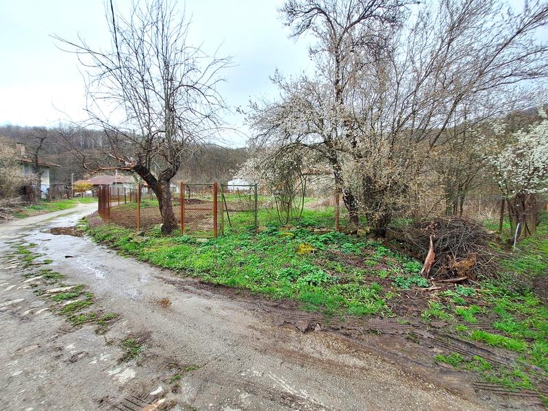 ��������� ������ ����� �� ���� � �� ��. �����