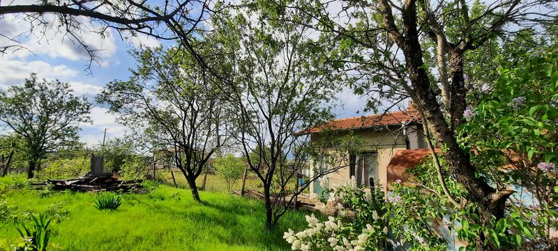 ������� �����, ������