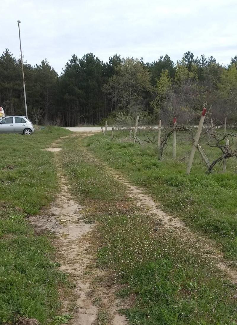 Plot of land near the main road, suitable for building residential and commercial construction