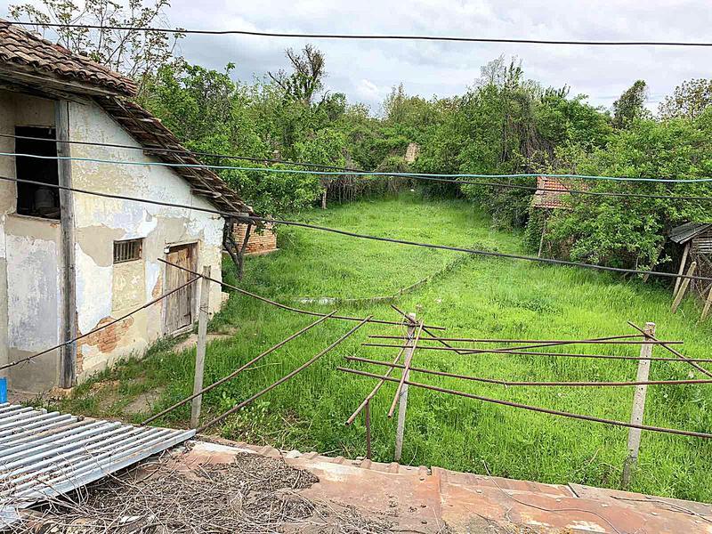 ������� �����, ������ �������