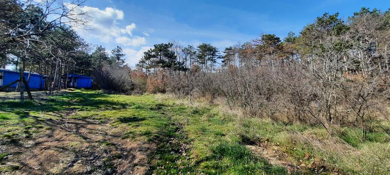  �������������� ������, ��������