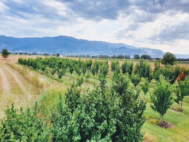 ������ ��������� ������� ��������������������� ���������� � ��������, ����������� ������� � �������������