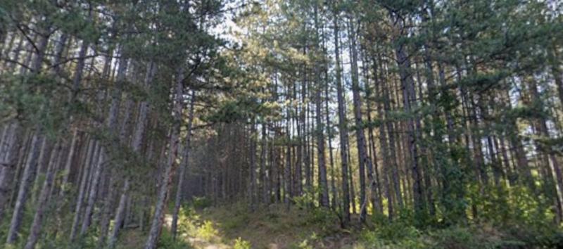 ������ � ������� ��������� �� �����������, ��������� ������ � �������� ������� �� �����