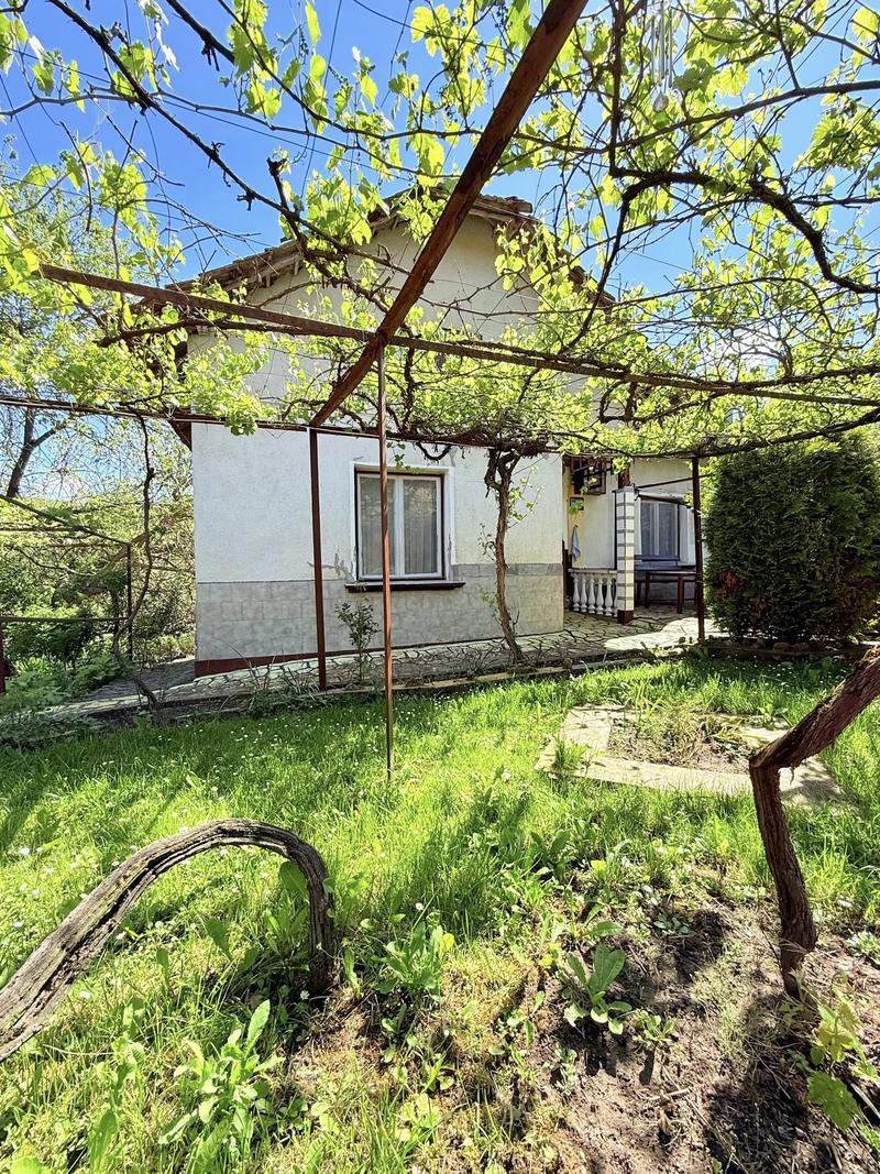 ������������ ���� � ����� �� �������� � ������� �������