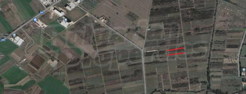 Spacious plot of land with vineyard and convenient access to the Ring Road of Plovdiv