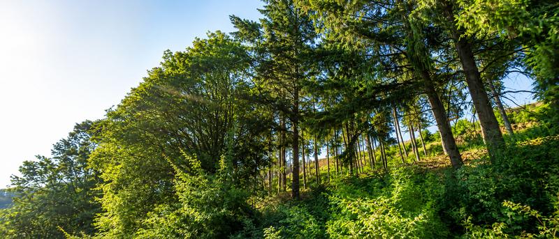 A unique combination of nature, tranquillity and convenient access to all the amenities of the capital