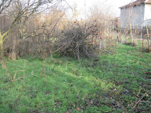 Regulated plot of land for private house in quiet rural area Regulated plot of land for private house in quiet rural area