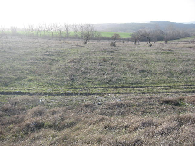 Spacious land near the customs Lesovo Spacious land near the customs Lesovo