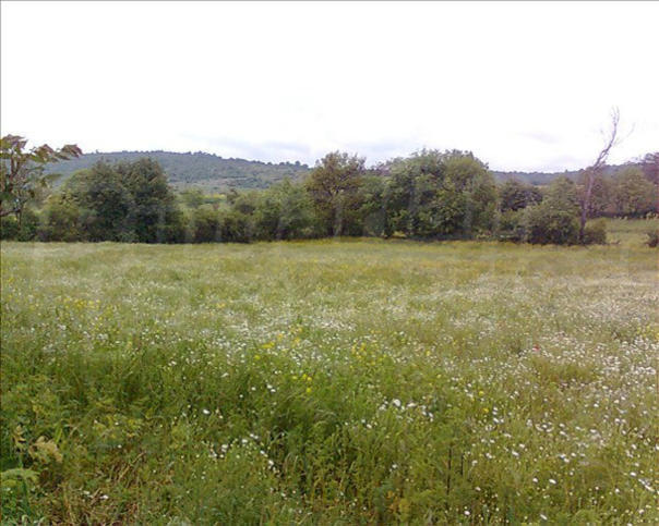 Plot with project for eco-tourism camping in Yambol region Plot with project for eco-tourism camping in Yambol region